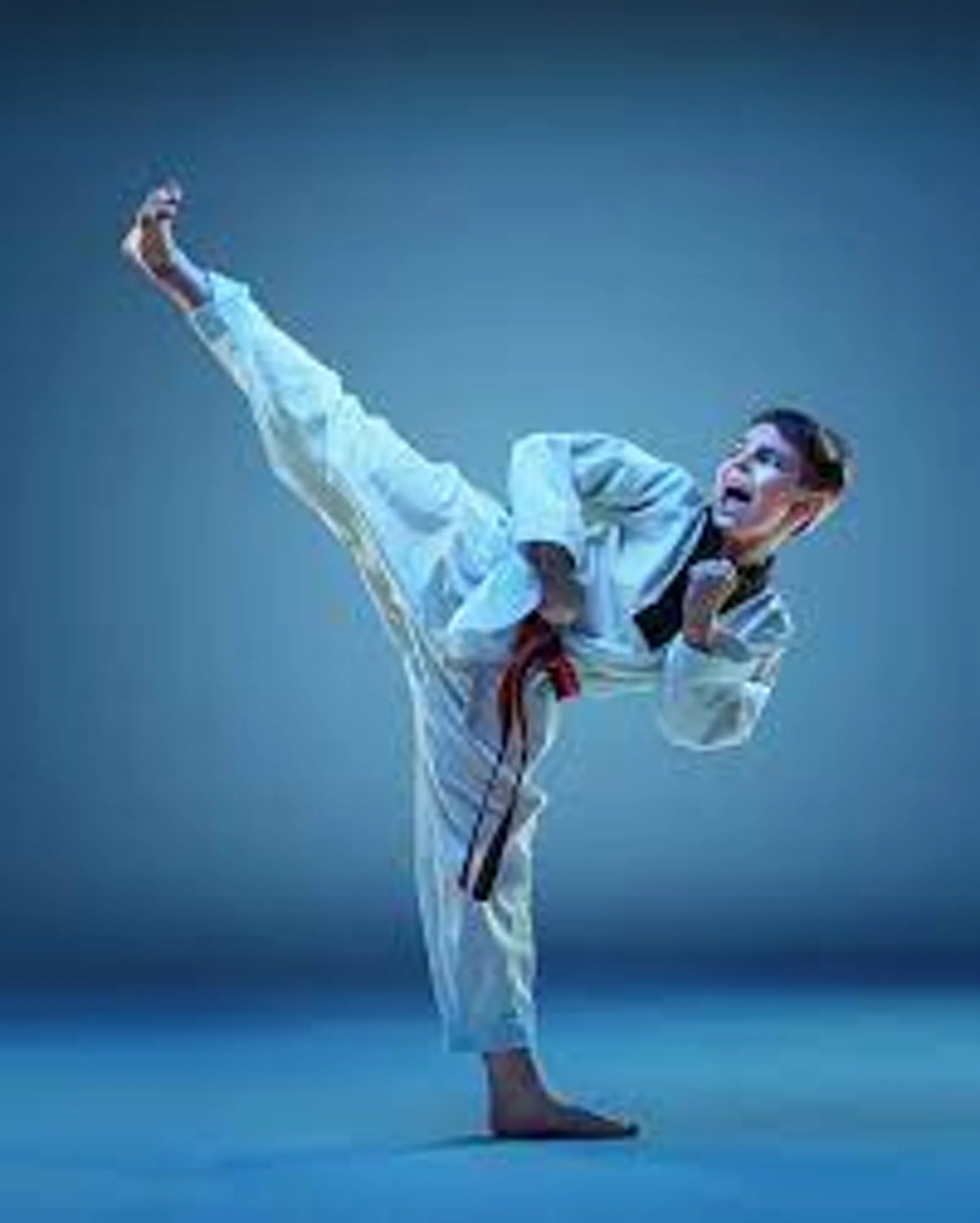 Taekwondo